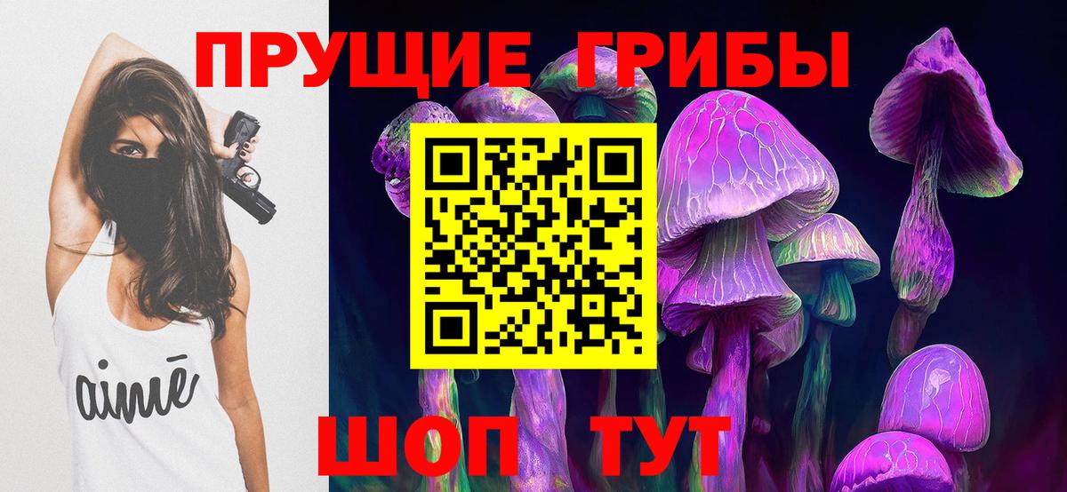 Верхний Уфалей  Псилоцибиновые грибы MAGIC MUSHROOMS  Вход с VPN 